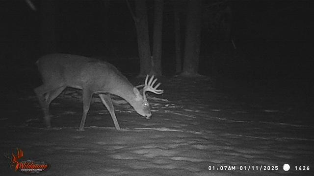 23616 15 Mile Road Big Rapids, MI 49307 - Photo 72 of 79 23616 15 Mile Trail Photo 8