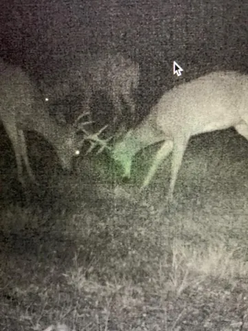 $550,000 | 23616 15 Mile Road, Big Rapids, MI 49307