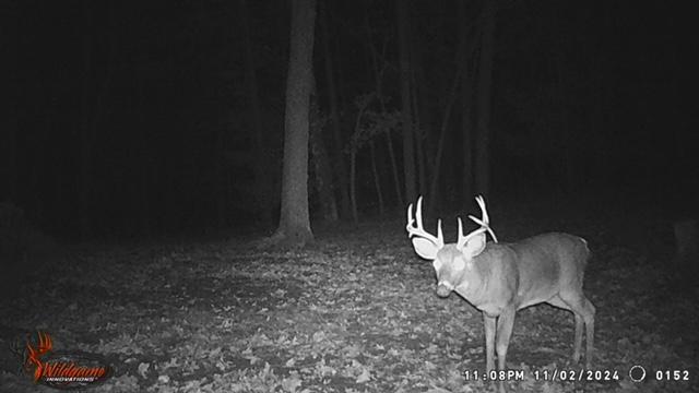 23616 15 Mile Road Big Rapids, MI 49307 - Photo 75 of 79 23616 15 Mile Trail Photo 3