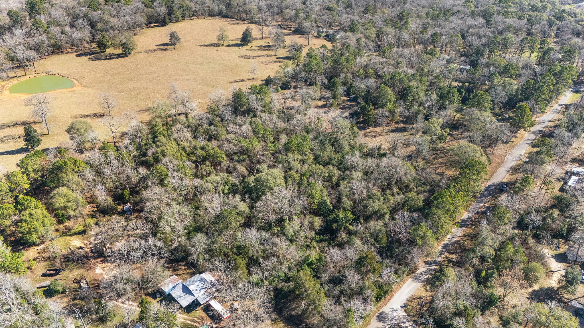 15685 McKay Road Willis, TX 77378 - Photo 8 of 21