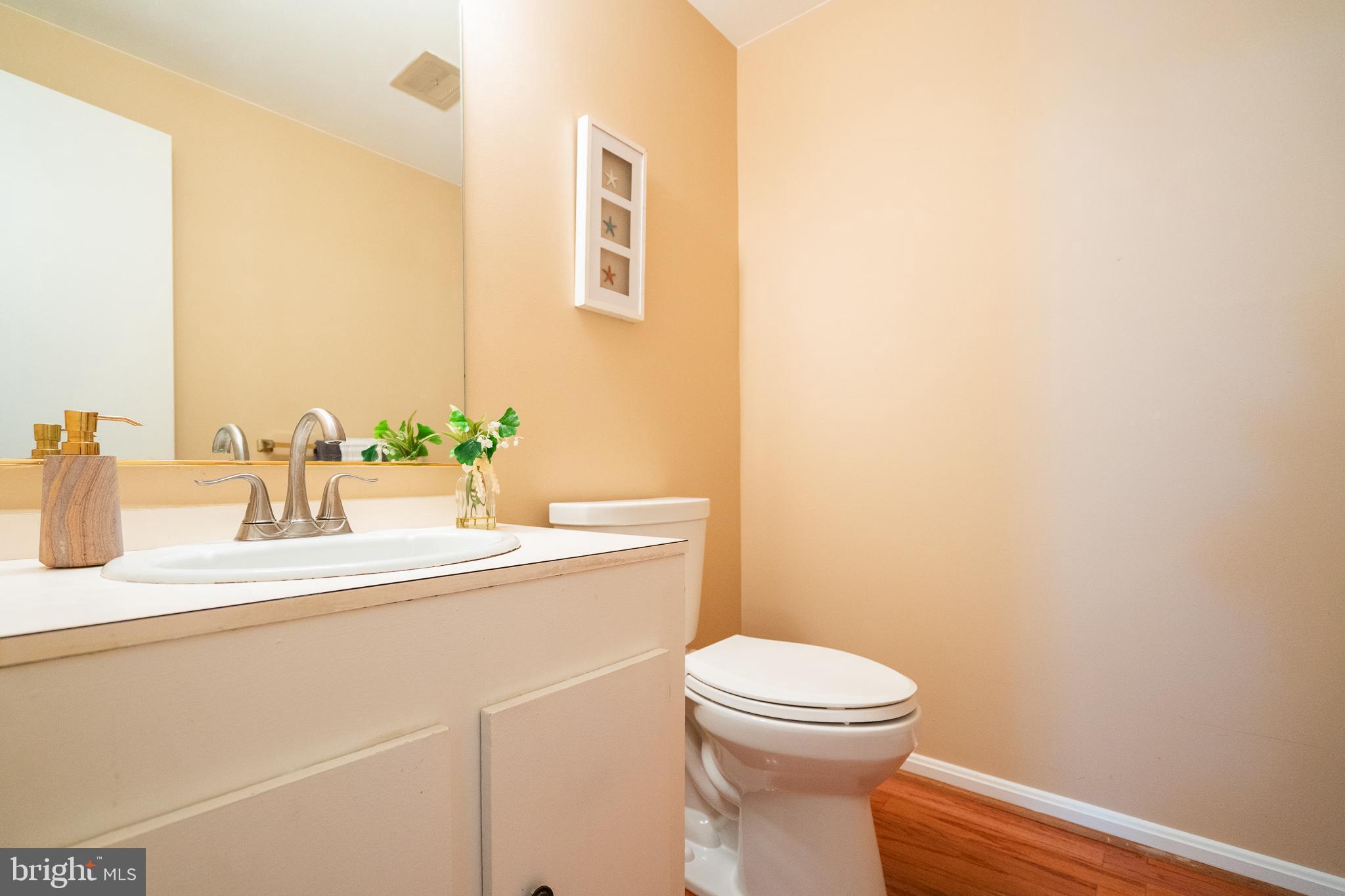 18916 Diary Road Montgomery Village, MD 20886 - Photo 19 of 56 Main Level Bath 1