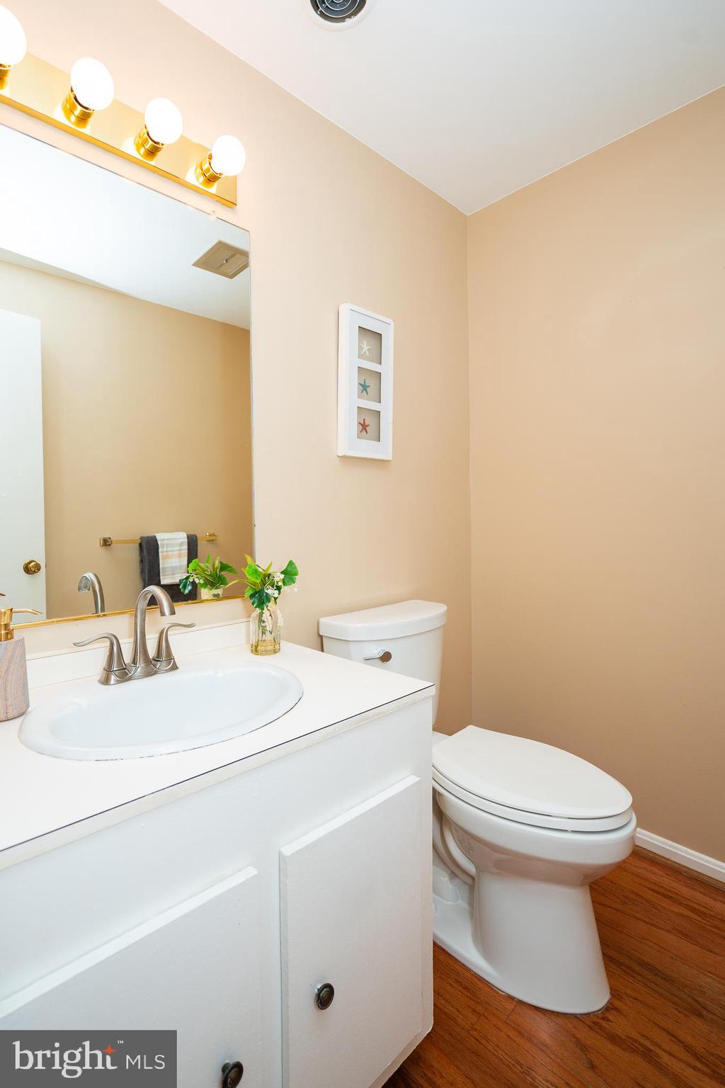 18916 Diary Road Montgomery Village, MD 20886 - Photo 20 of 56 Main Level Bath 2