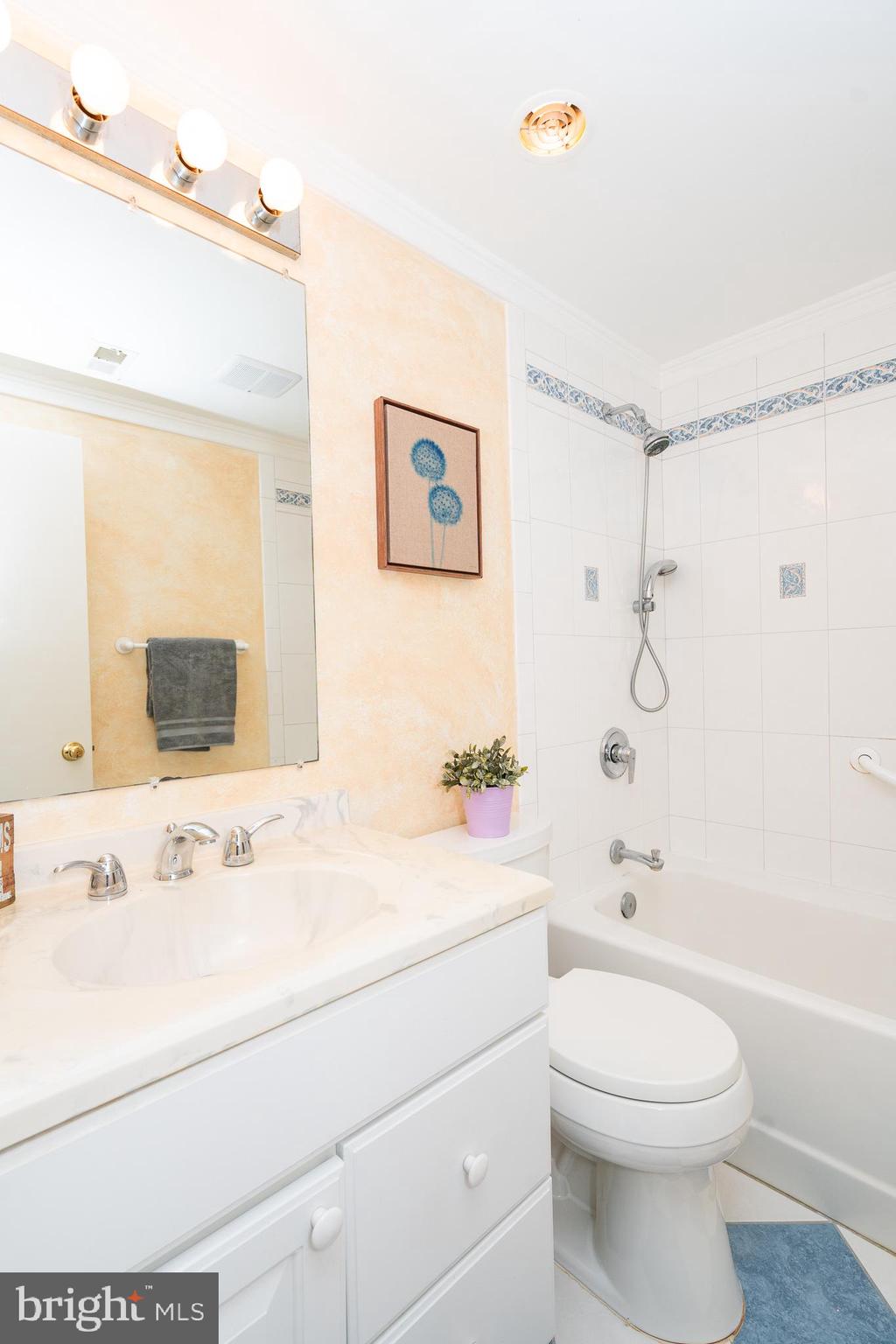 18916 Diary Road Montgomery Village, MD 20886 - Photo 26 of 56 Hall Bath 2