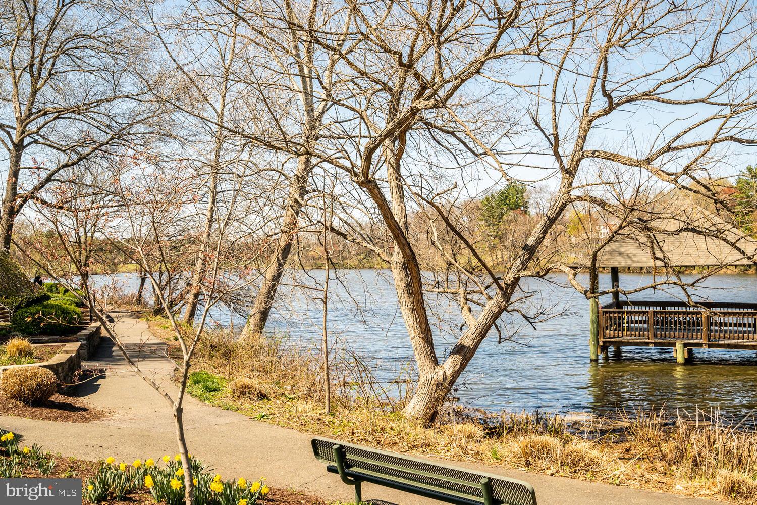 18916 Diary Road Montgomery Village, MD 20886 - Photo 41 of 56 Lake/Walk-way