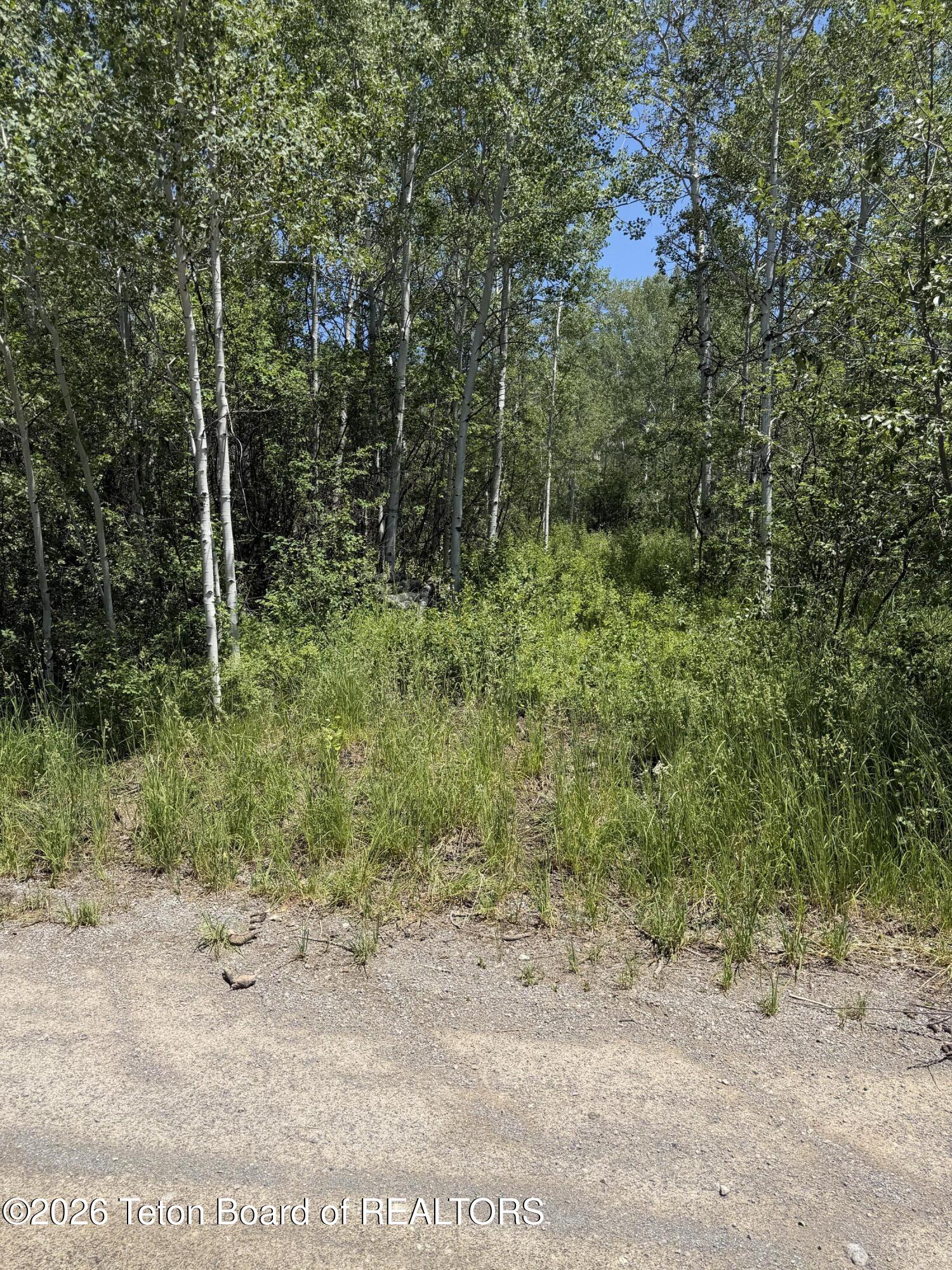Lot 47 Pine Drive Star Valley Ranch, WY 83127 - Photo 10 of 11 IMG_2729