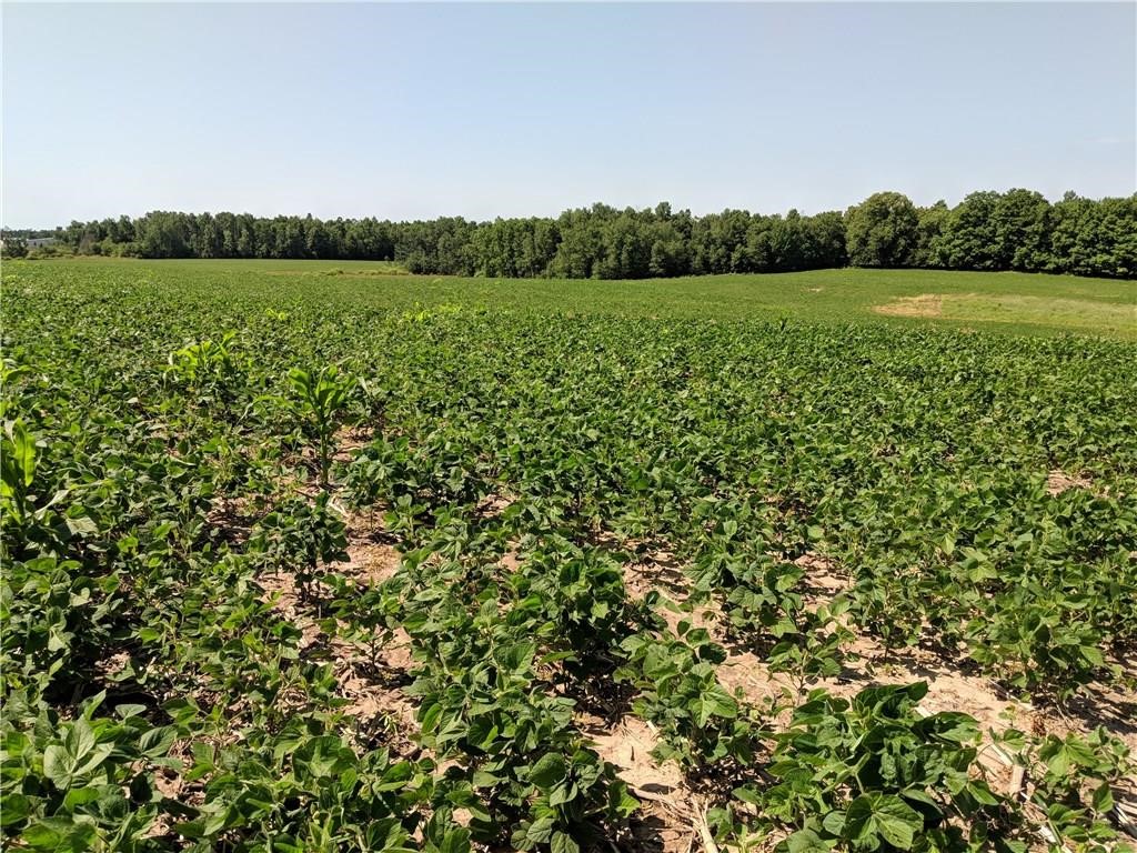 40-acres County Rd B West Glen Flora, WI 54526 - Photo 3 of 4
