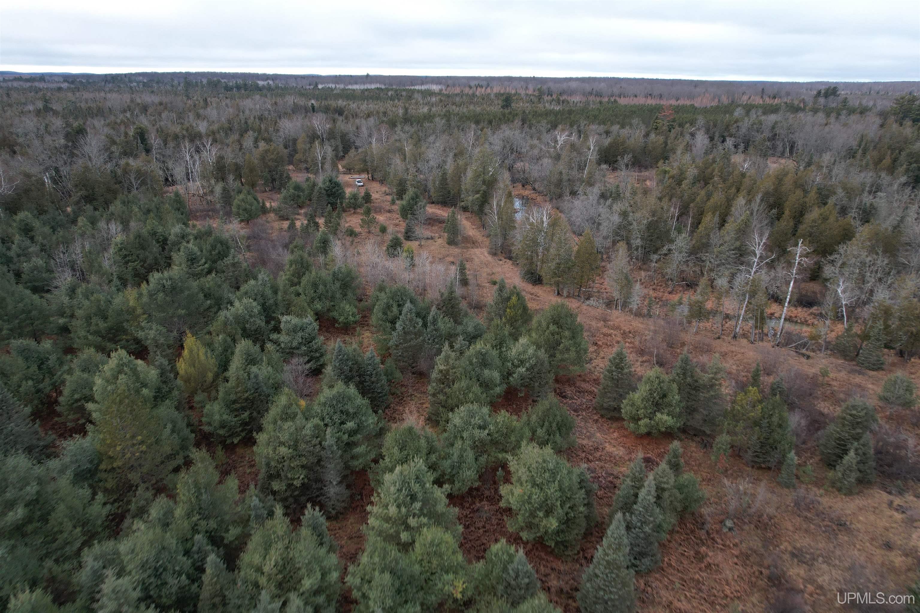 Tbd County Rd S C Road Cornell, MI 49818 - Photo 10 of 33