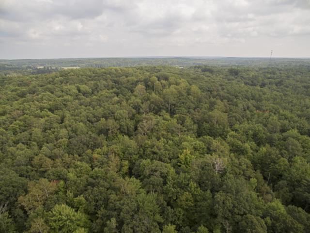 Lot 0 Other Springbrook, WI 54875 - Photo 5 of 13 Gallery Image 5