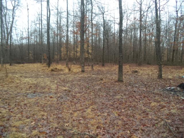 267 Limekiln Road Erin, TN 37061 - Photo 3 of 5 Gallery Image 3