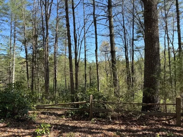 $50,000 | Lt 29-a&b Lt 29-a&b Cabernet Way, Murphy, NC 28906