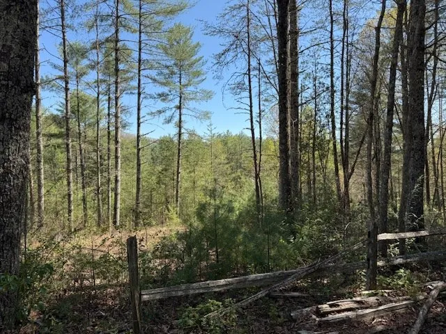 $50,000 | Lt 29-a&b Lt 29-a&b Cabernet Way, Murphy, NC 28906