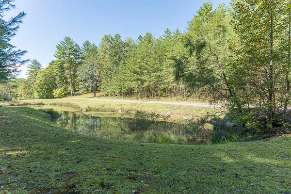 a view of a yard with large trees