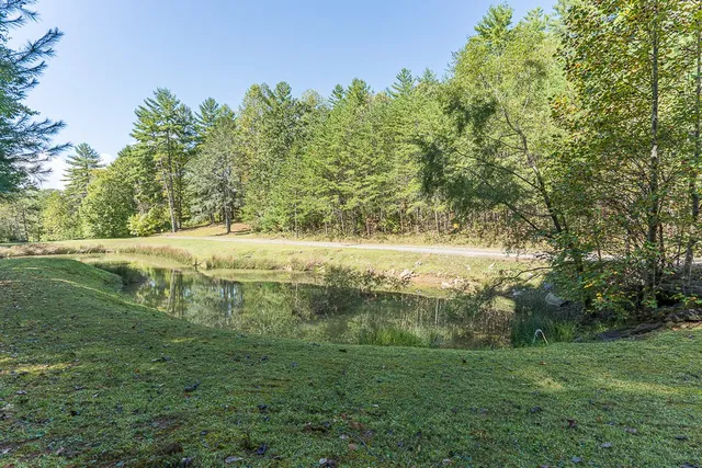 a view of a yard with large trees