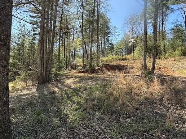 a view of outdoor space with trees
