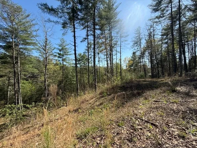 a view of outdoor space and trees