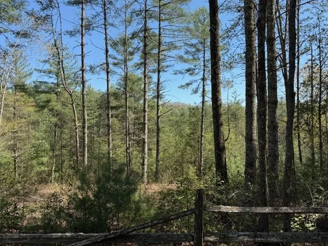 a view of outdoor space and garden