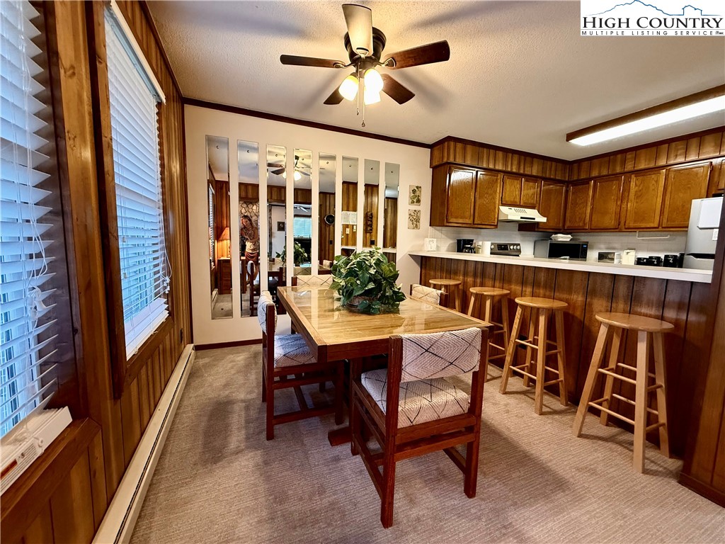 301 Pinnacle Inn Road, Unit 2201 Beech Mountain, NC 28604 - Photo 5 of 40