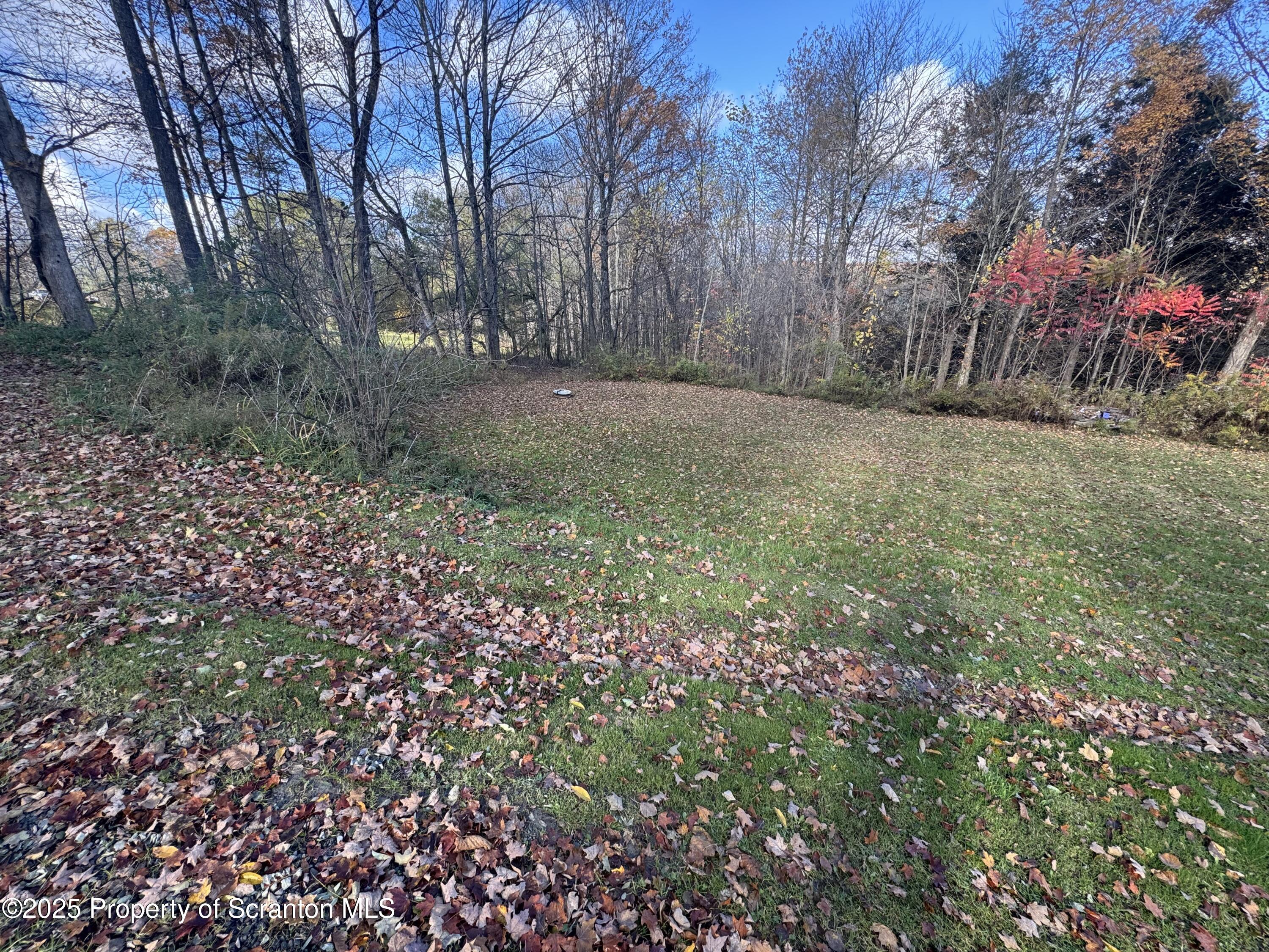 1125 Hall Road New Milford, PA 18834 - Photo 5 of 18 a backyard of a house