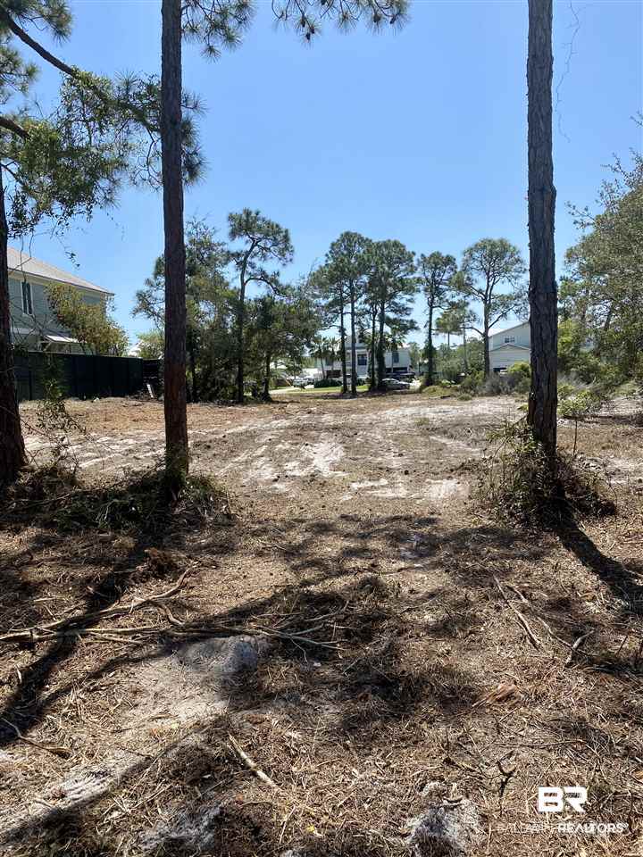 0 Marina Road Orange Beach, AL 36561 - Photo 8 of 9 Water towards Marina Rd.