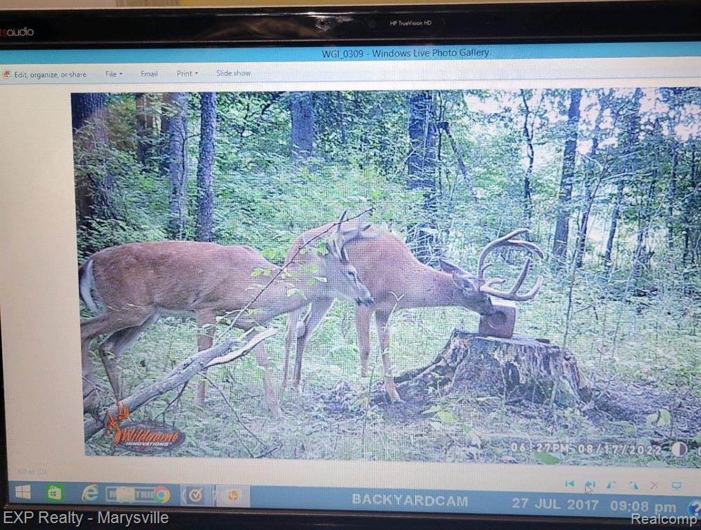 0 Losey Road Rives Junction, MI 49277 - Photo 10 of 10