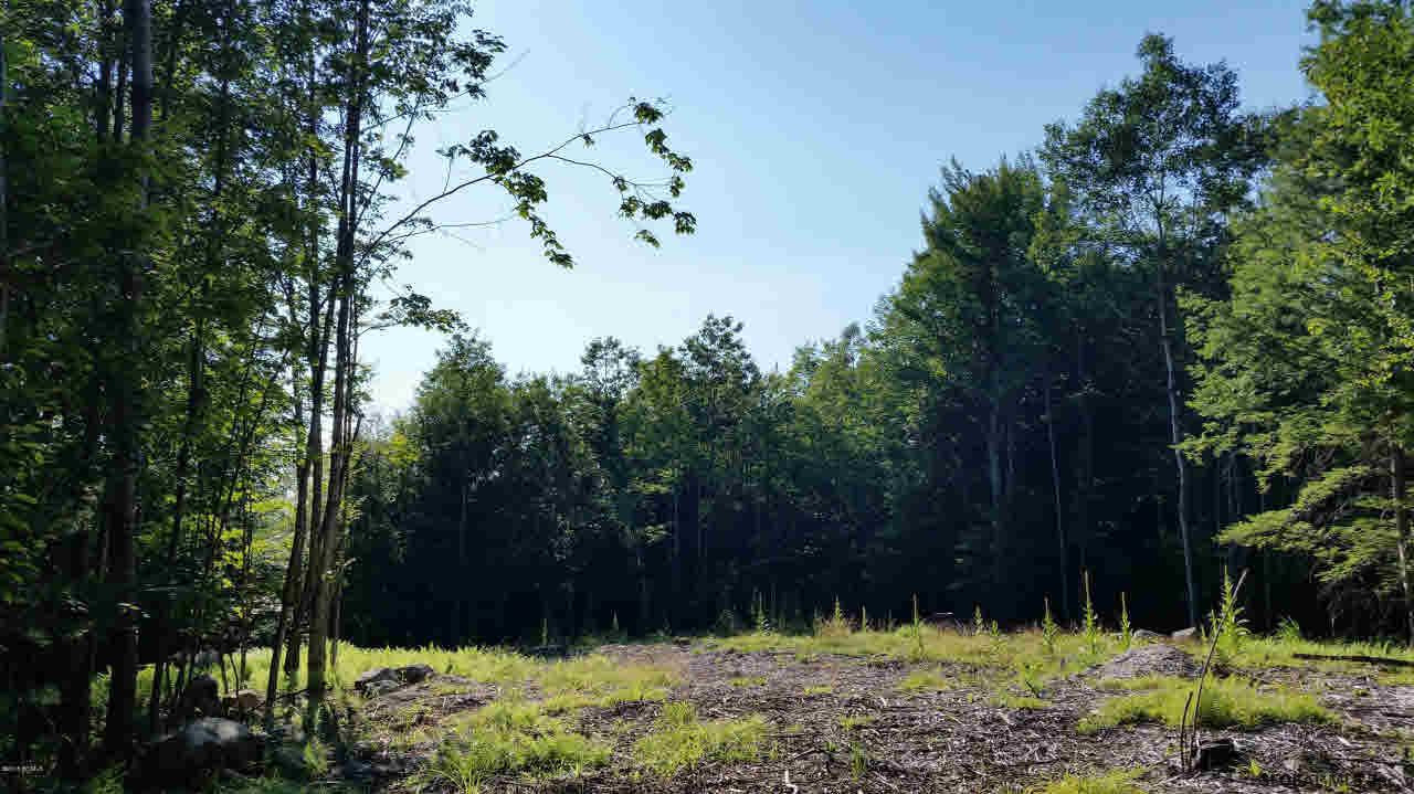 0 Dorset Road Brant Lake, NY 12815 - Photo 1 of 9 Photo 1