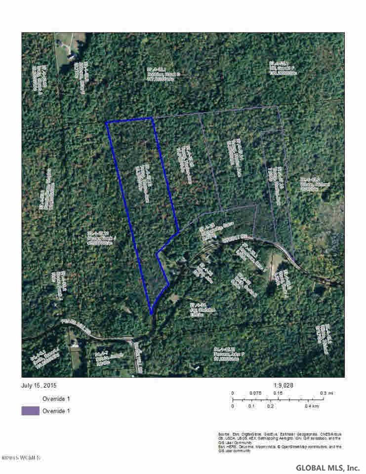 0 Dorset Road Brant Lake, NY 12815 - Photo 2 of 9 Photo 2