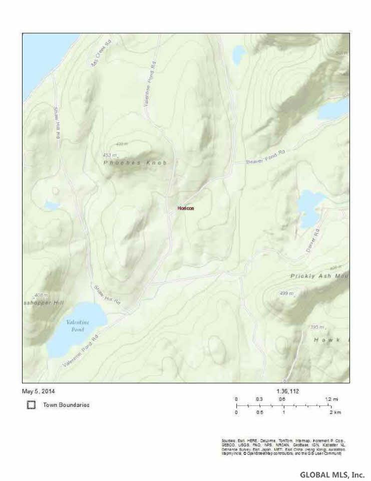 0 Dorset Road Brant Lake, NY 12815 - Photo 3 of 9 Photo 3