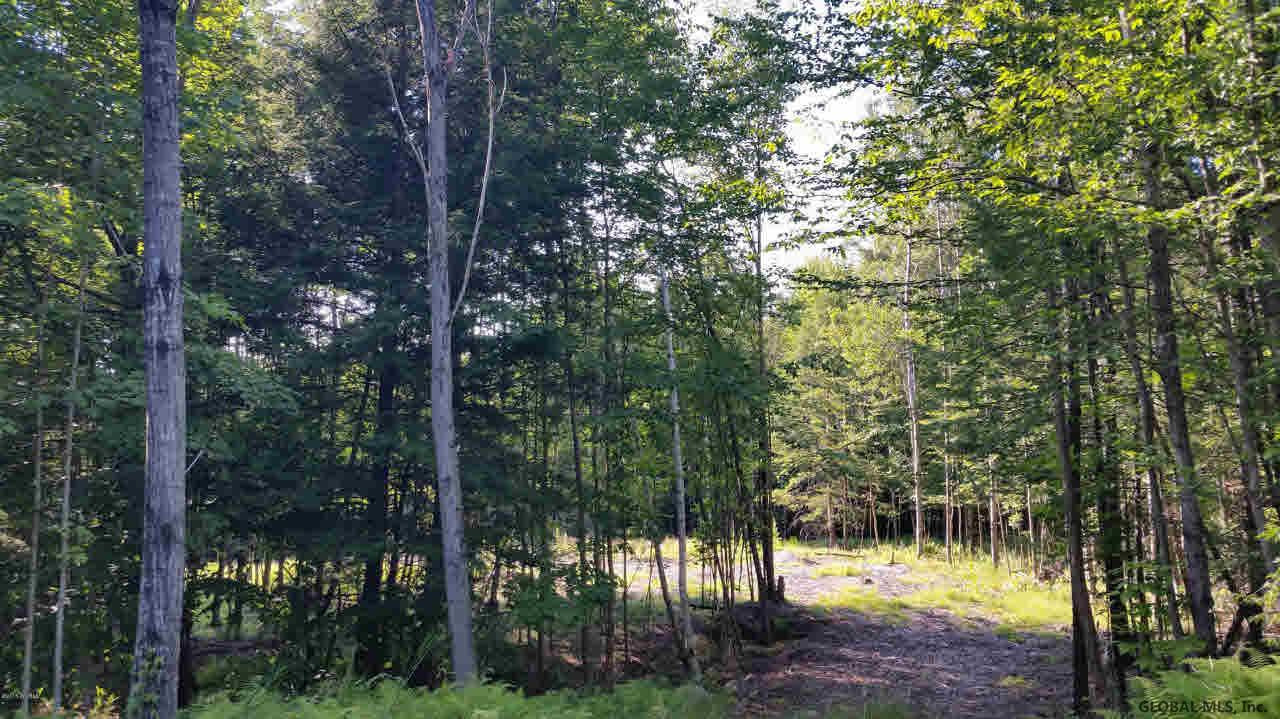 0 Dorset Road Brant Lake, NY 12815 - Photo 4 of 9 Photo 4