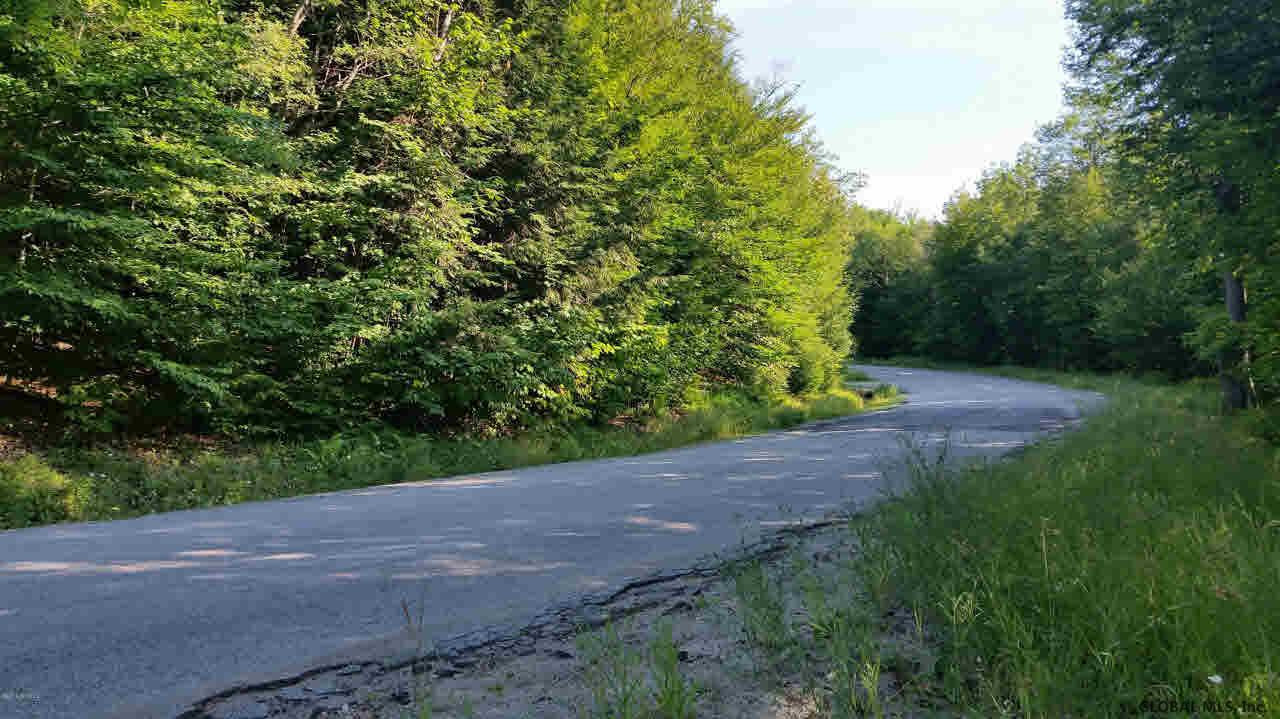 0 Dorset Road Brant Lake, NY 12815 - Photo 5 of 9 Photo 5