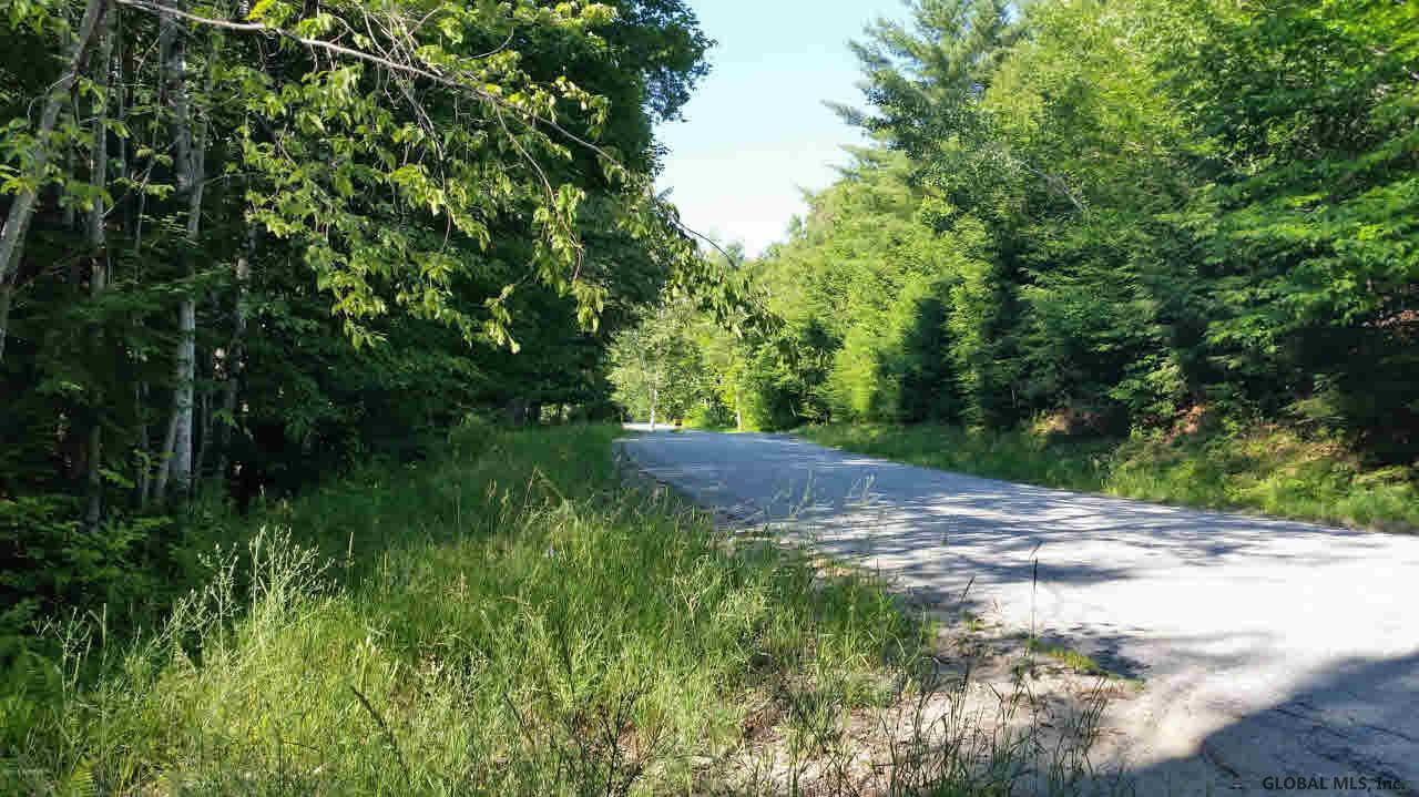 0 Dorset Road Brant Lake, NY 12815 - Photo 6 of 9 Photo 6