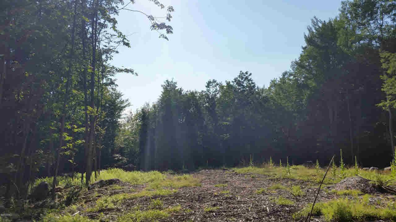 0 Dorset Road Brant Lake, NY 12815 - Photo 8 of 9 Photo 8