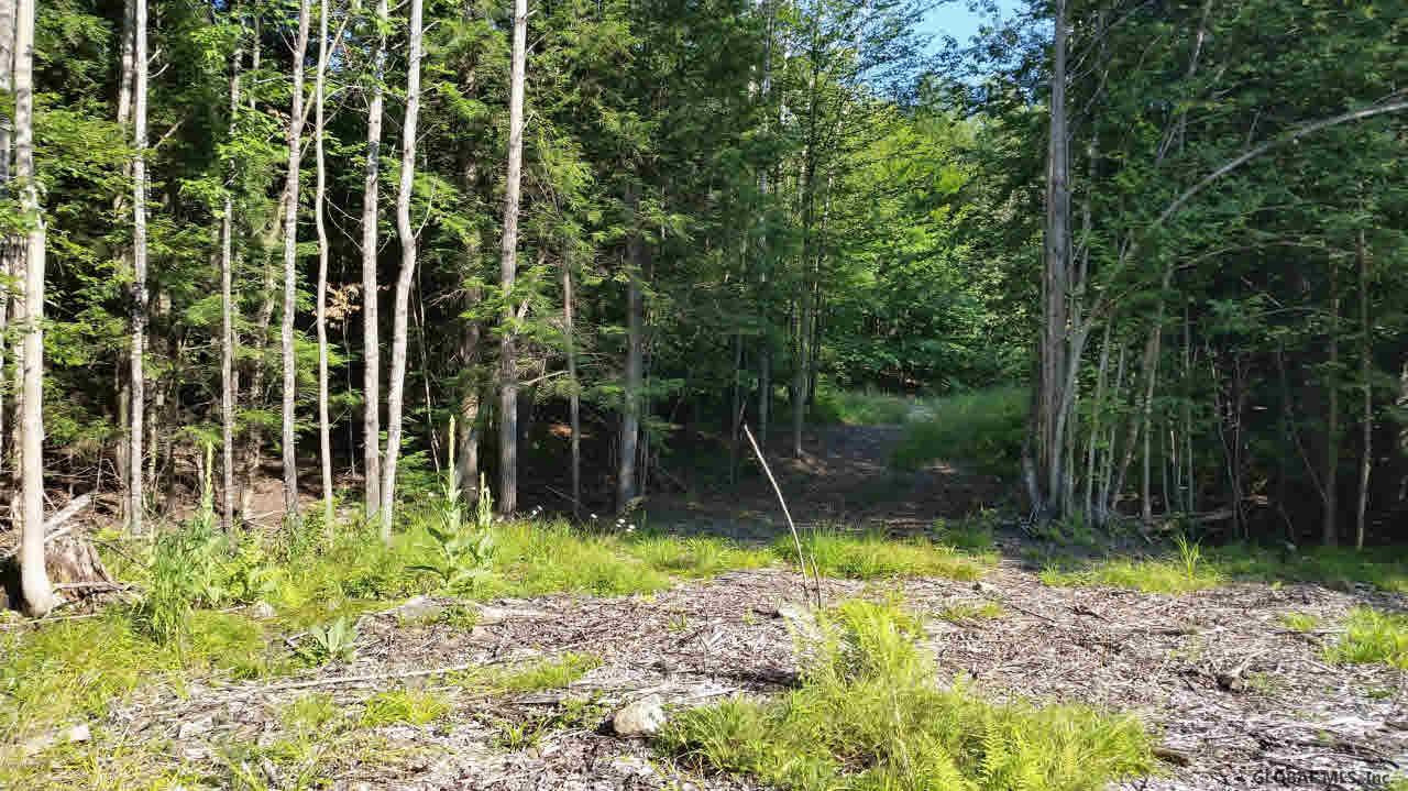 0 Dorset Road Brant Lake, NY 12815 - Photo 9 of 9 Photo 9