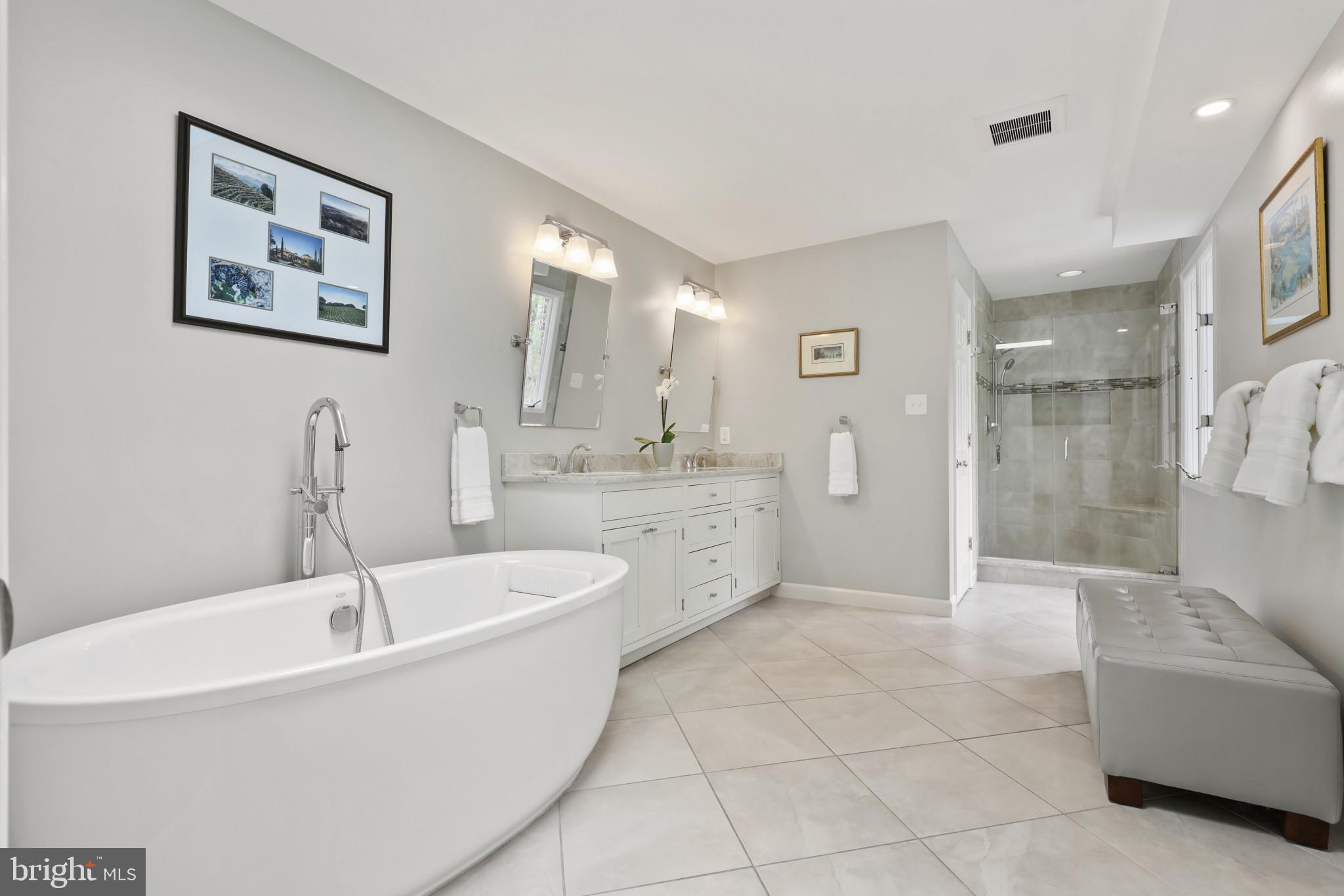 1484 Downham Market Annapolis, MD 21401 - Photo 31 of 80 Soaking Tub