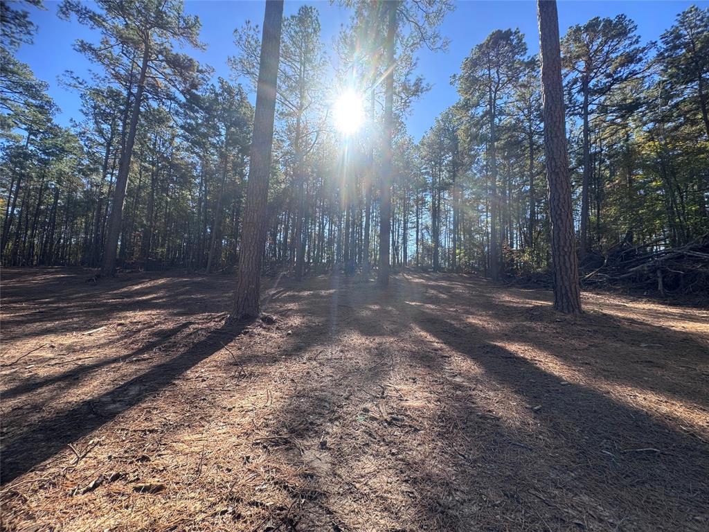 0 Cotton Lane Minden, LA 71055 - Photo 2 of 6 a view of backyard with green space