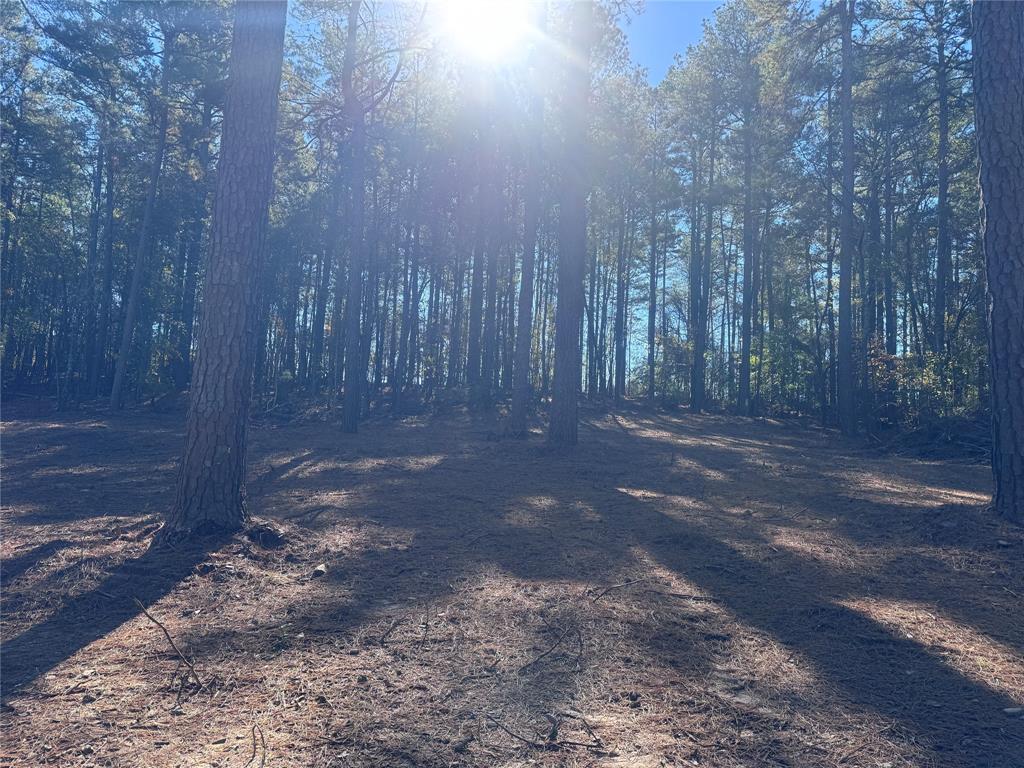 0 Cotton Lane Minden, LA 71055 - Photo 3 of 6 a view of a yard with trees in the background