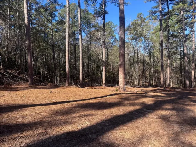 a view of road and trees