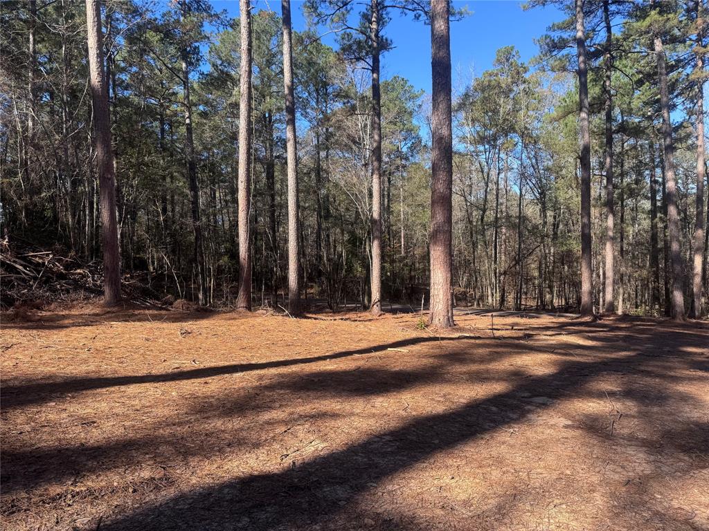 0 Cotton Lane Minden, LA 71055 - Photo 4 of 6