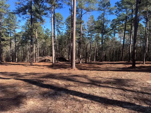 a view of a yard with a trampoline