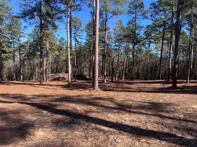 a view of a yard with a trampoline
