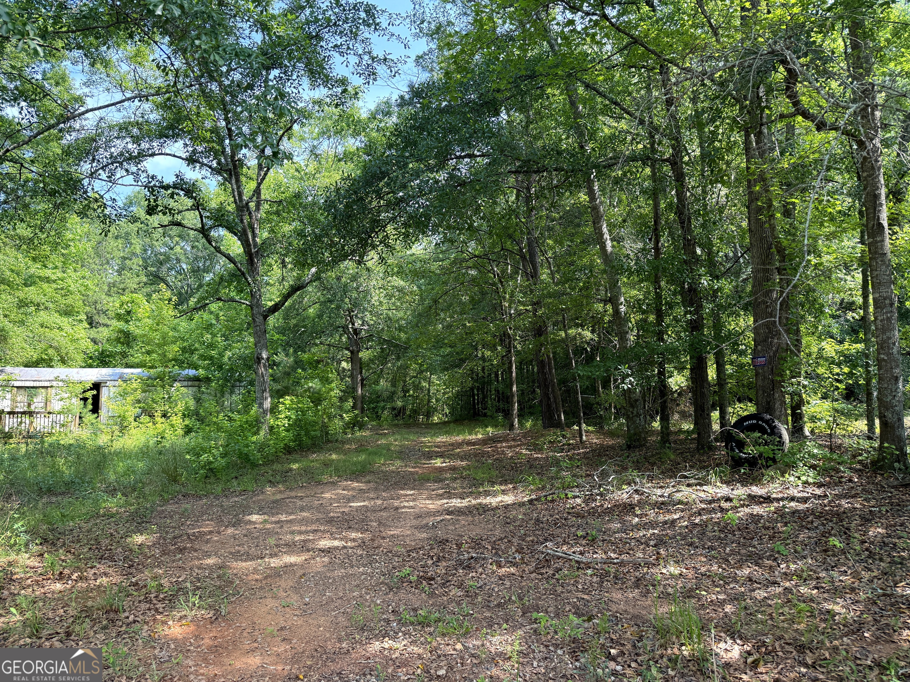 2391 Chalybeate Road Manchester, GA 31816 - Photo 5 of 15 a view of outdoor space with trees all around