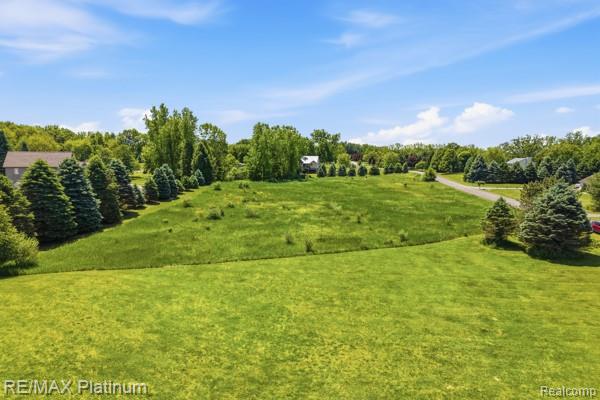 0 Iosco Mountain Road Gregory, MI 48137 - Photo 8 of 22