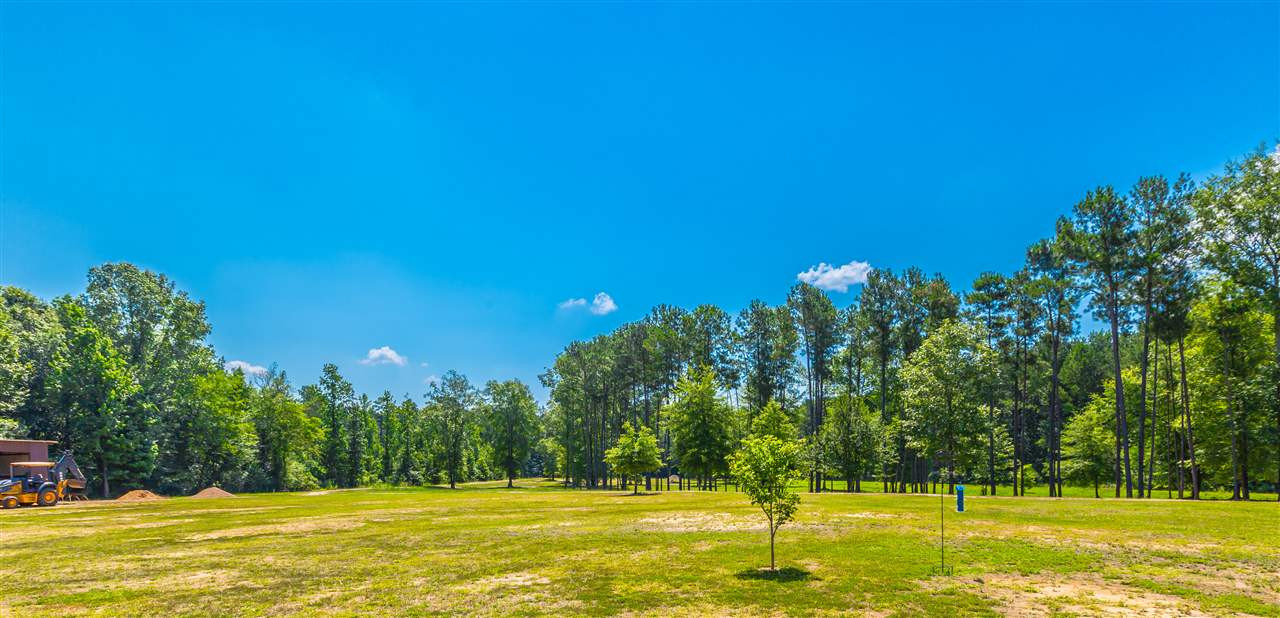 1395 Star Road Brandon, MS 39042 - Photo 3 of 3 Photo 3