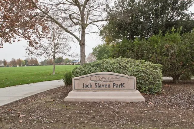 a view of a park with large trees
