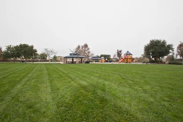 a view of a park with swings