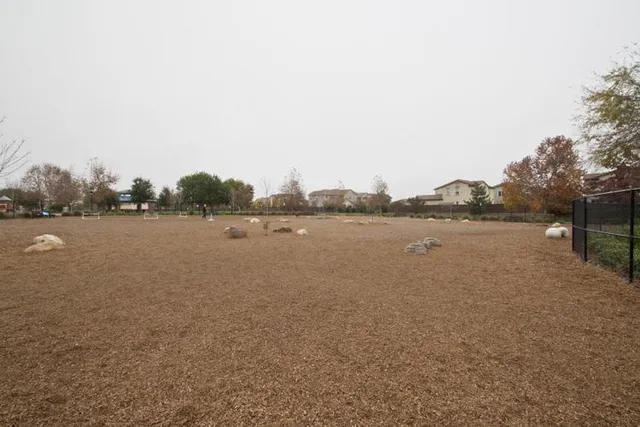 a view of a park with large trees
