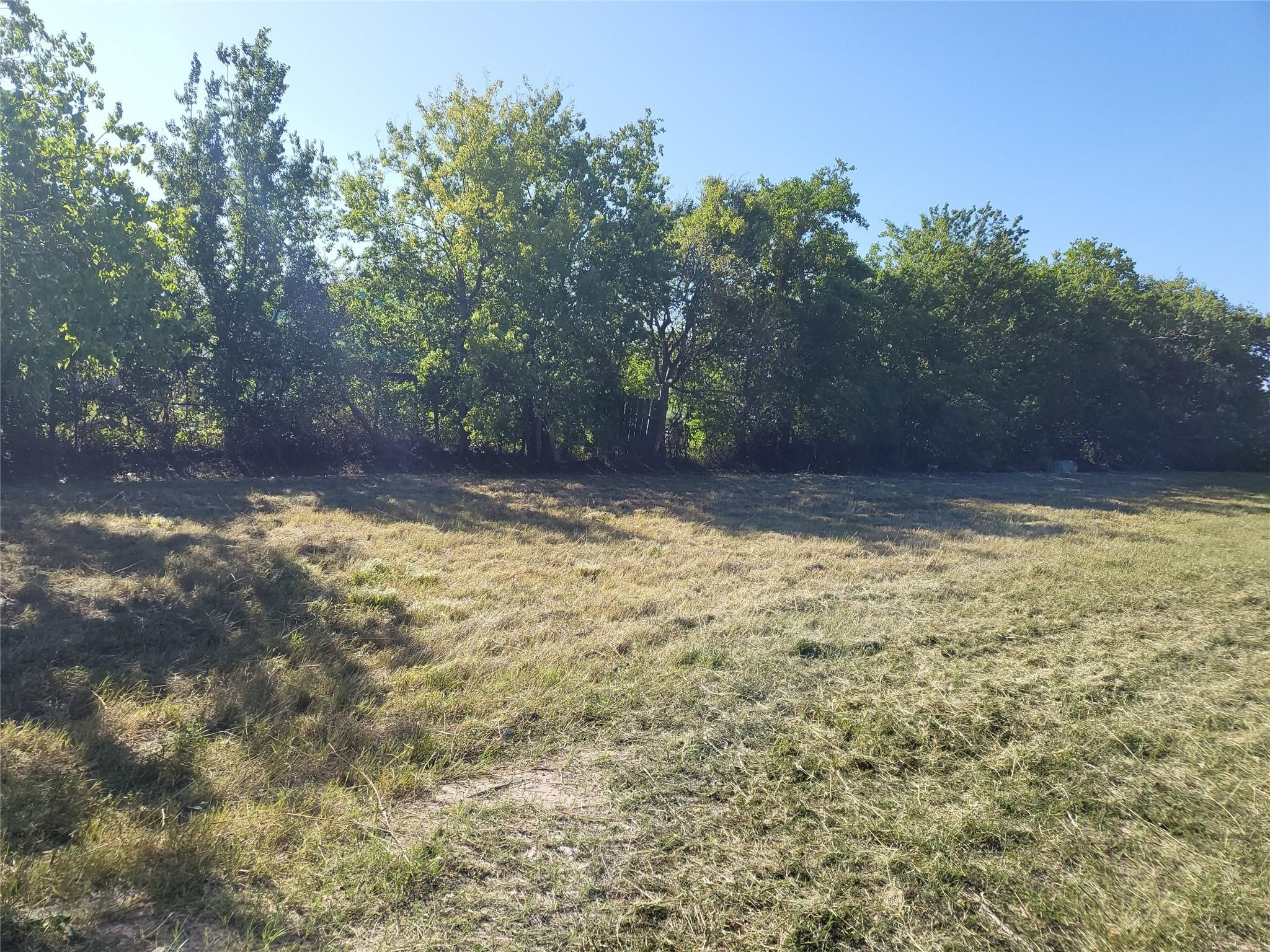 333 24th Street San Leon, TX 77539 - Photo 23 of 36 a view of a yard with a tree