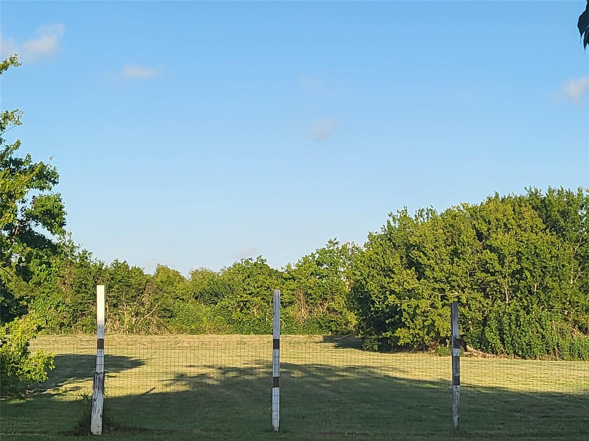 333 24th Street San Leon, TX 77539 - Photo 28 of 36 a view of a yard with an trees