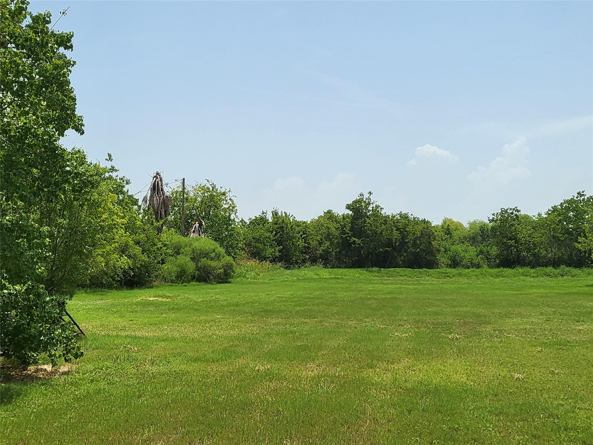 333 24th Street San Leon, TX 77539 - Photo 6 of 36 a view of a grassy field with trees in the background