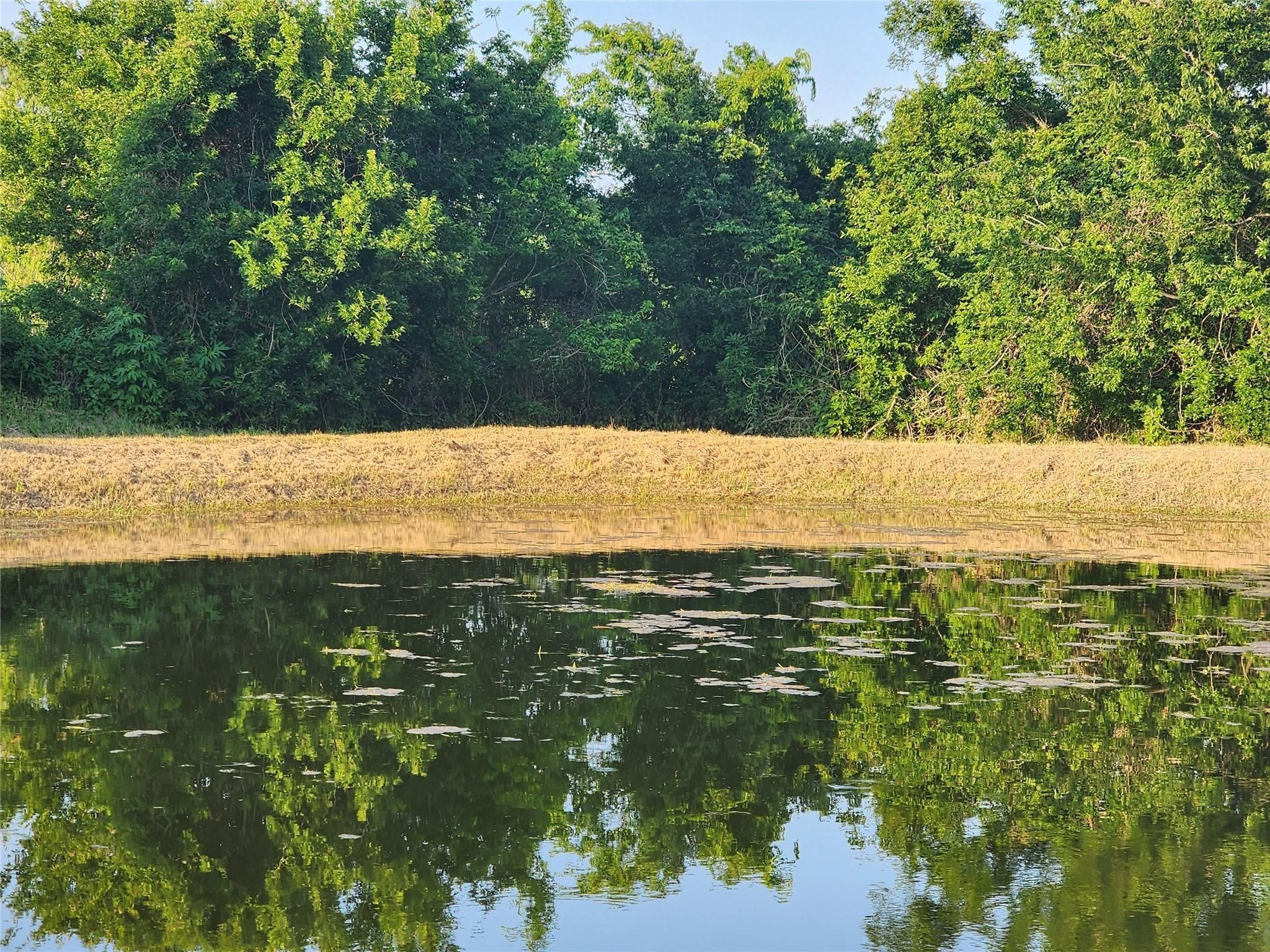333 24th Street San Leon, TX 77539 - Photo 9 of 36 a view of an ocean