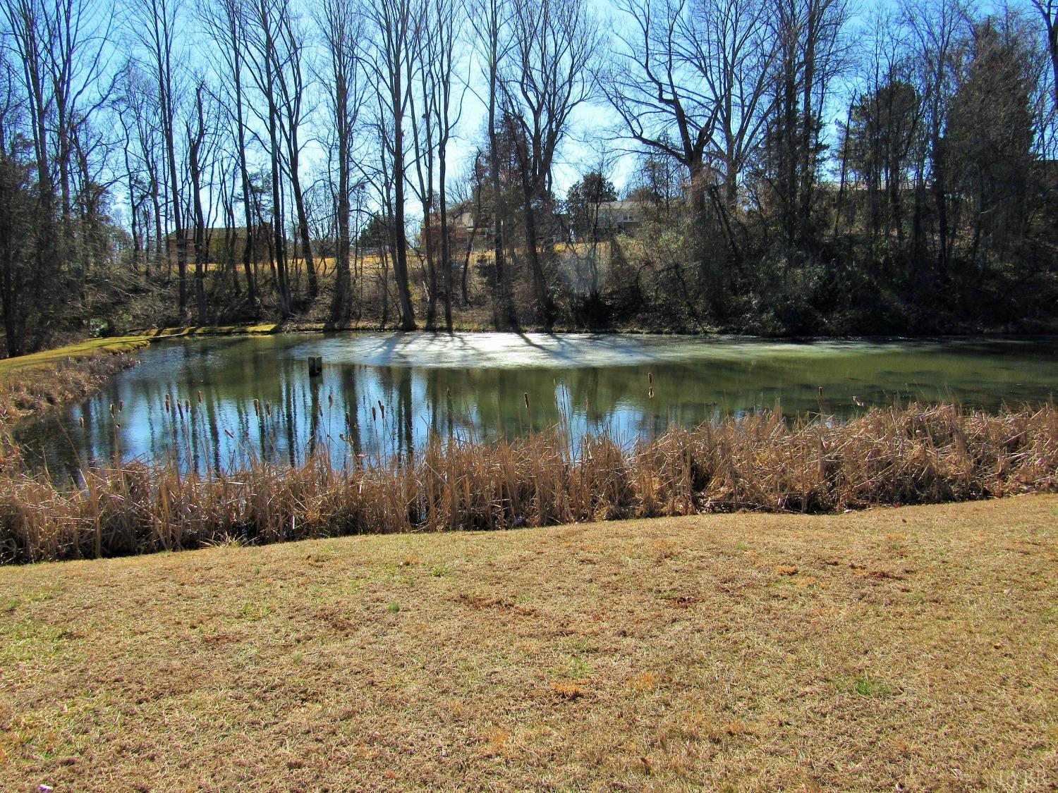 0 Cedar Street Amherst, VA 24521 - Photo 2 of 12 Gallery Image 2